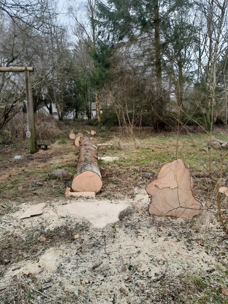 3 meter stykker af graner