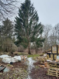 Anden gran i Harlev J