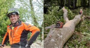 Træfælderen og hans motorsave i Ry