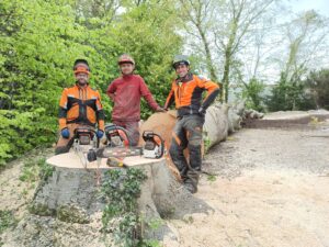 Tre træfældere i Riskkov